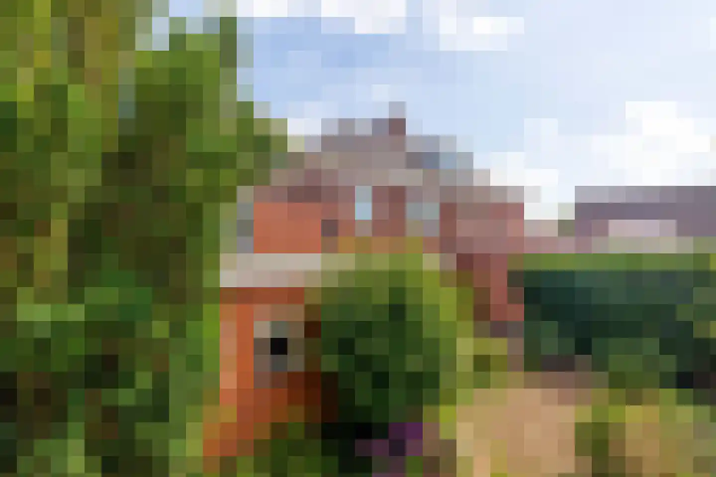 Wilhelminasingel 17 Veendam thumbnail 31