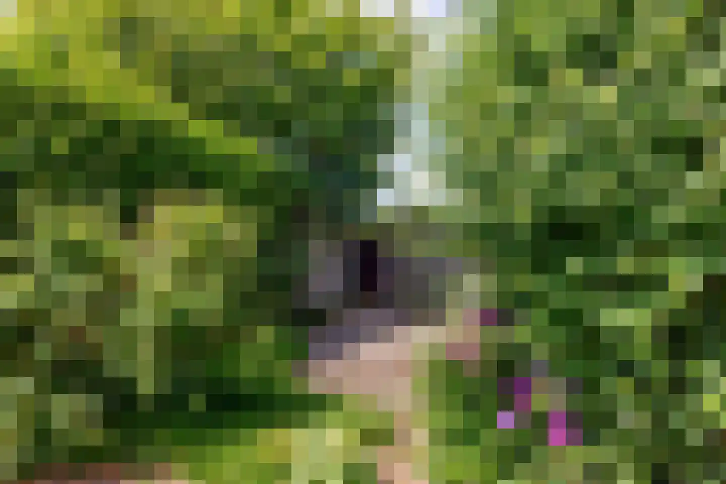 Wilhelminasingel 17 Veendam thumbnail 33