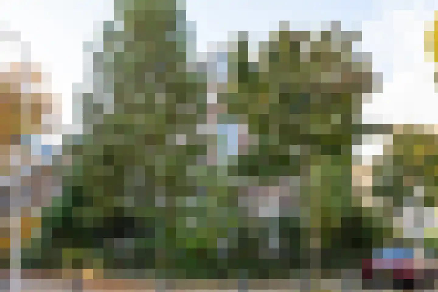 Wilhelminasingel 18 Nijmegen thumbnail 5