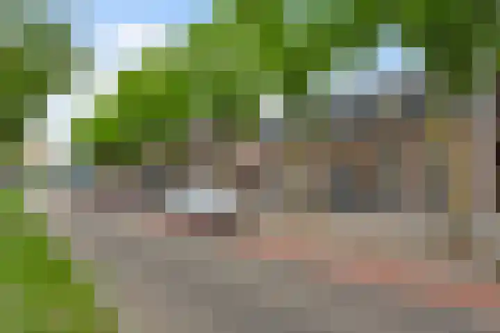 Wilhelminasingel 195 Weert thumbnail 24