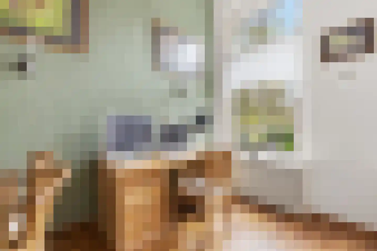 Wilhelminasingel 2 B Nijmegen thumbnail 16
