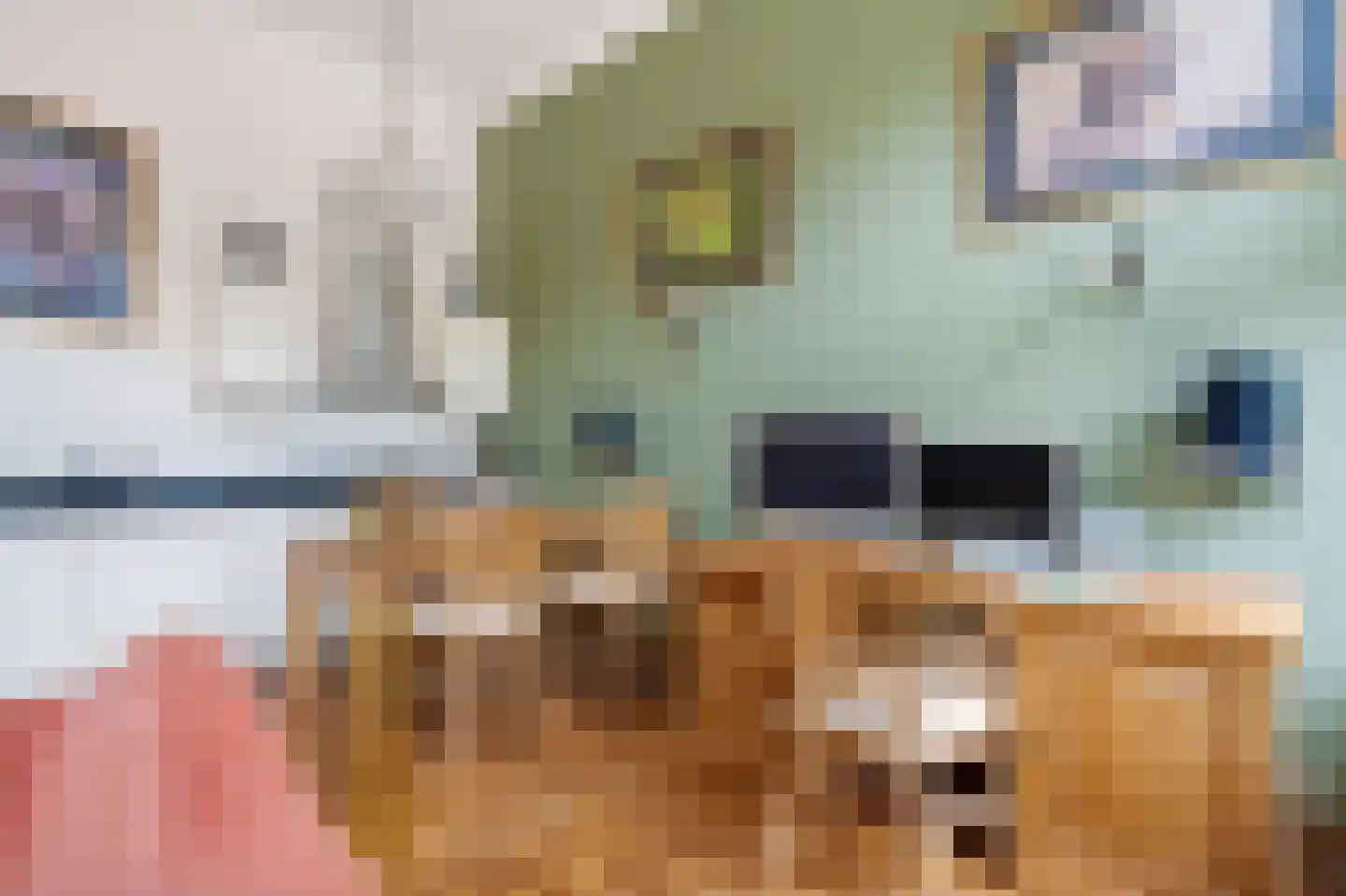 Wilhelminasingel 2 B Nijmegen thumbnail 17