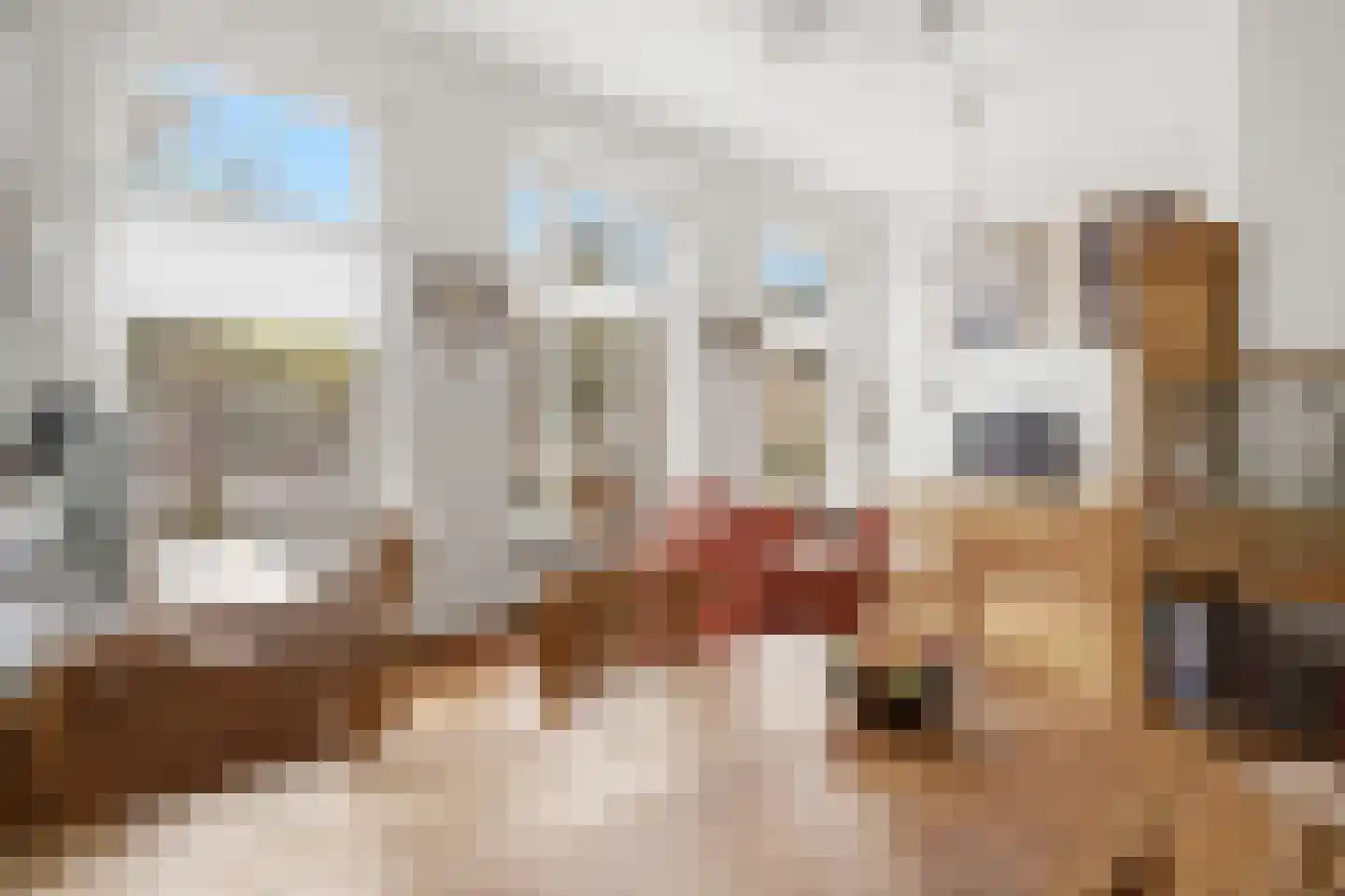 Wilhelminasingel 2 C Nijmegen thumbnail 4