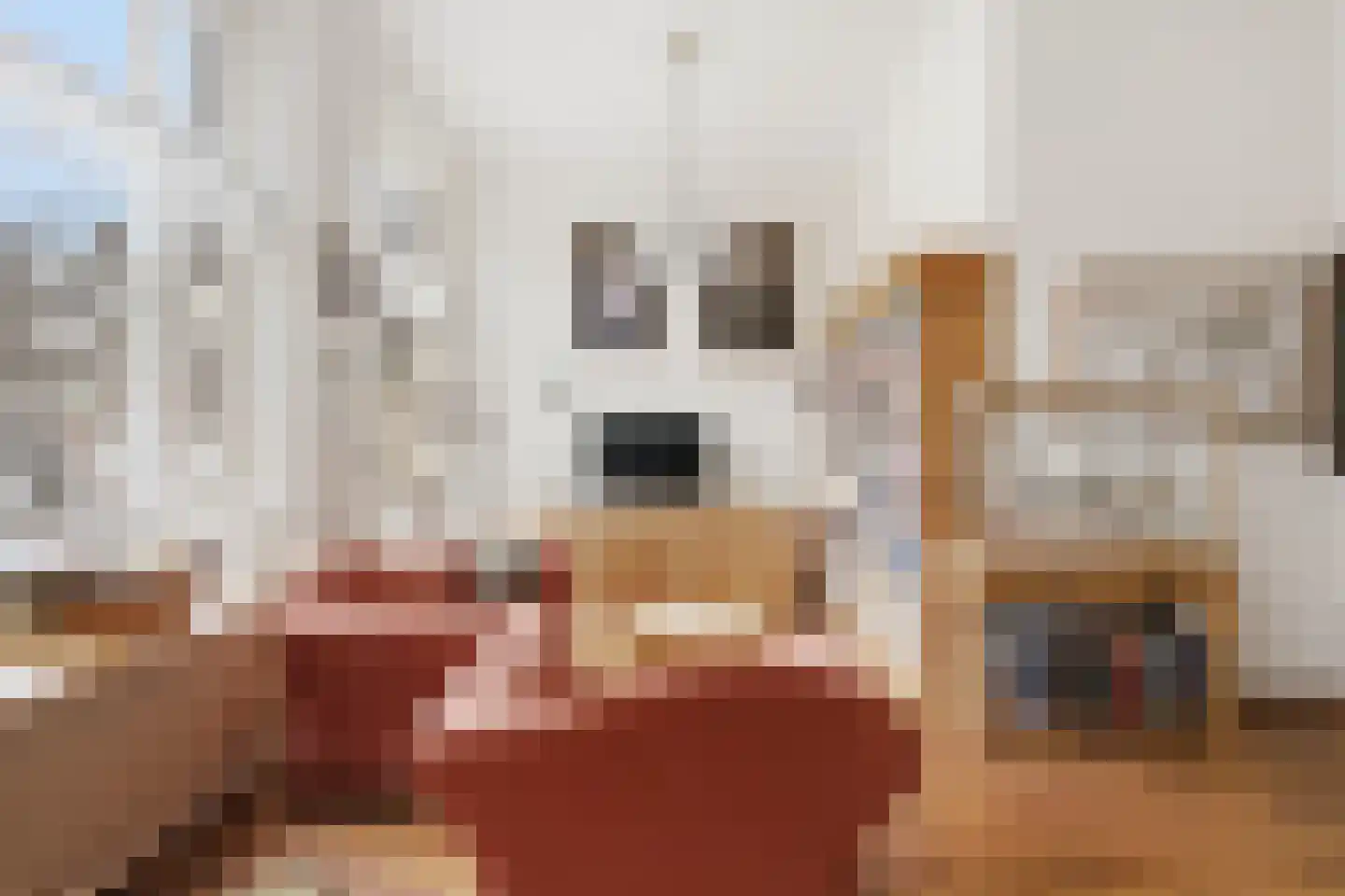Wilhelminasingel 2 C Nijmegen thumbnail 5