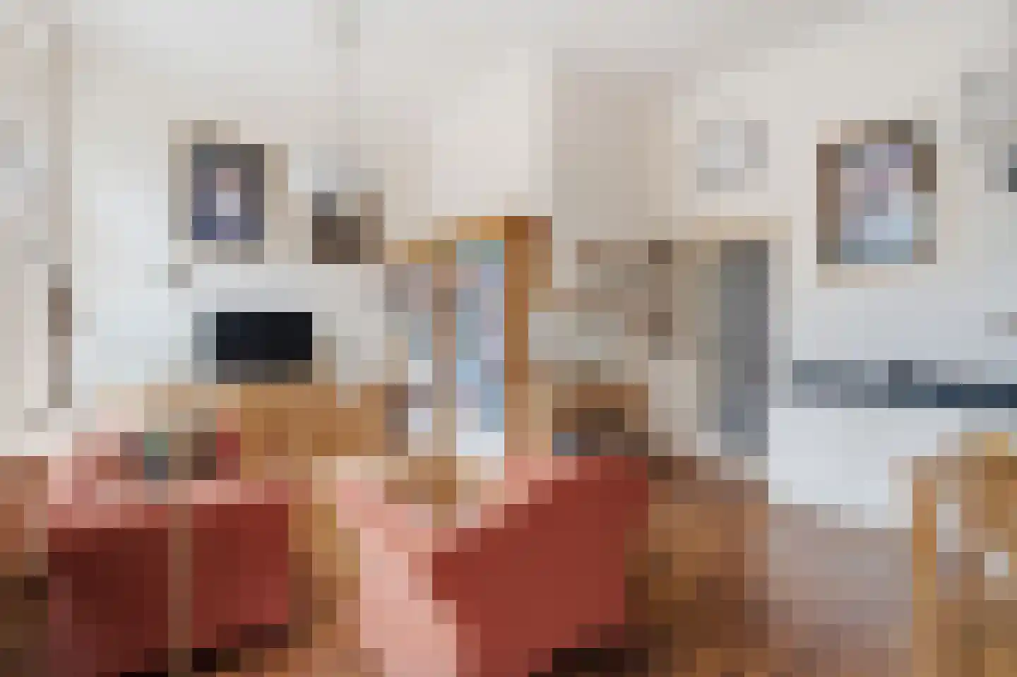Wilhelminasingel 2 C Nijmegen thumbnail 8