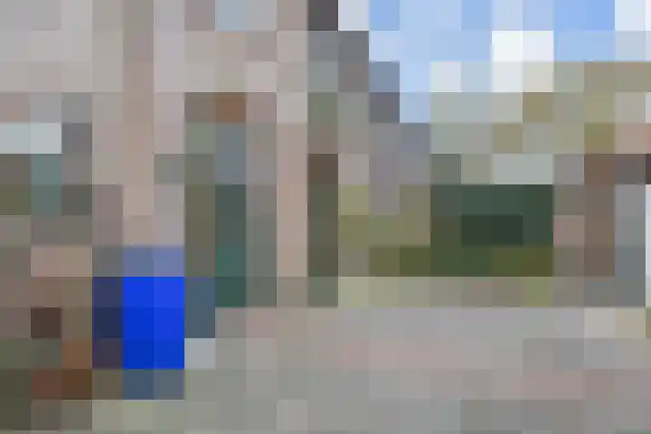 Wilhelminasingel 21 Pijnacker thumbnail 18