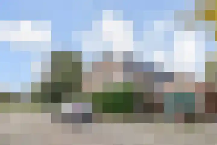 Wilhelminasingel 21 Pijnacker thumbnail 22