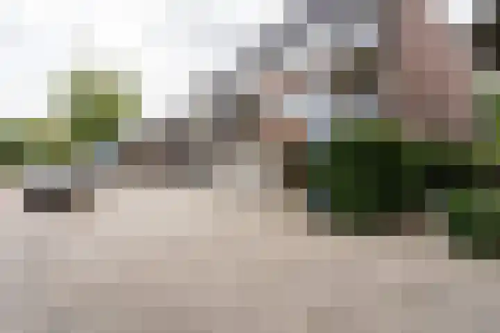 Wilhelminasingel 215 Weert thumbnail 29