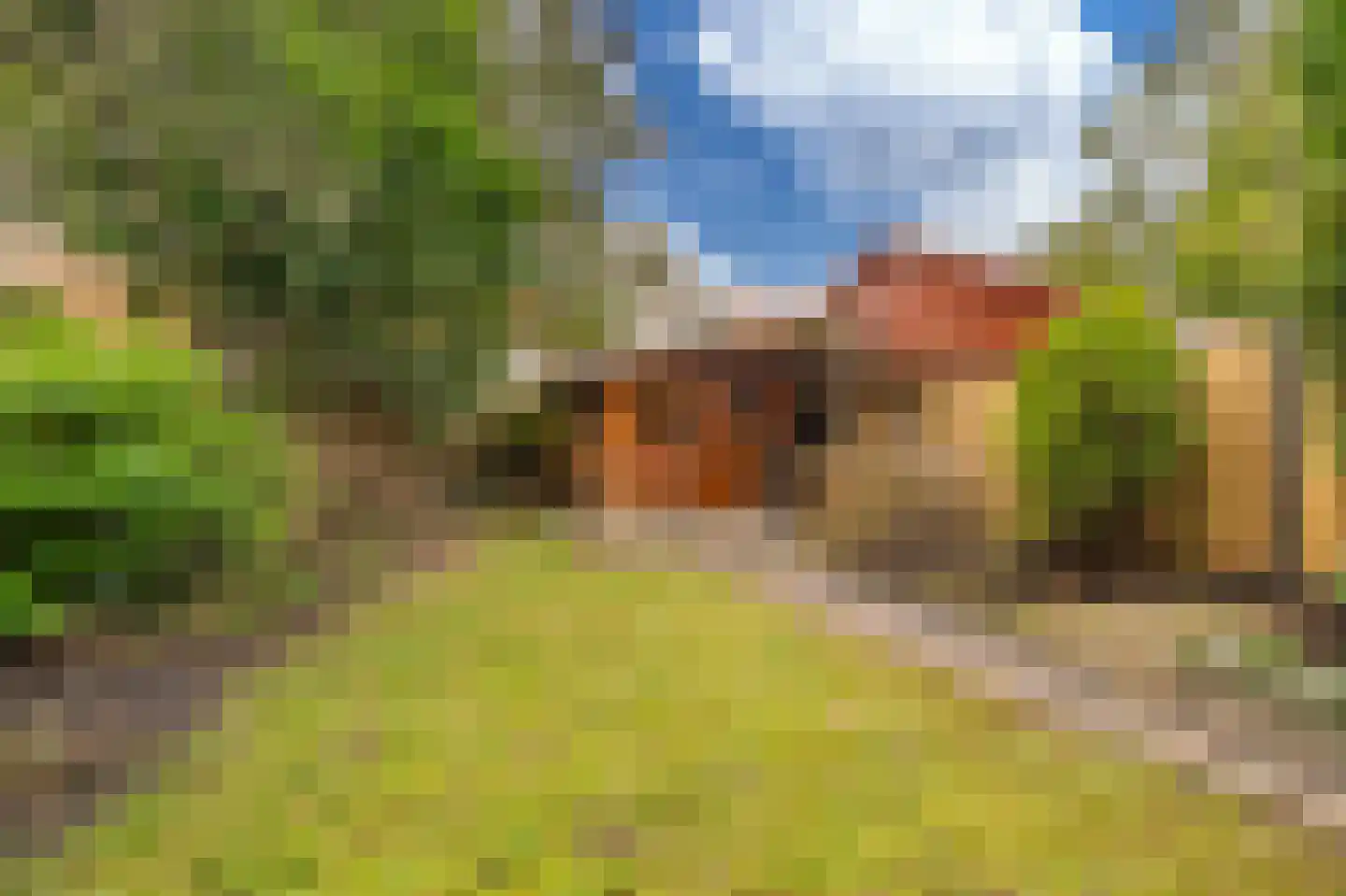 Wilhelminasingel 22 Winschoten thumbnail 48