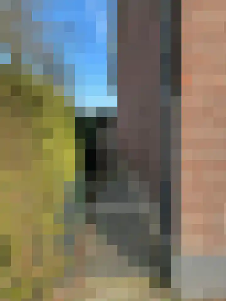 Wilhelminasingel 24 Coevorden thumbnail 8