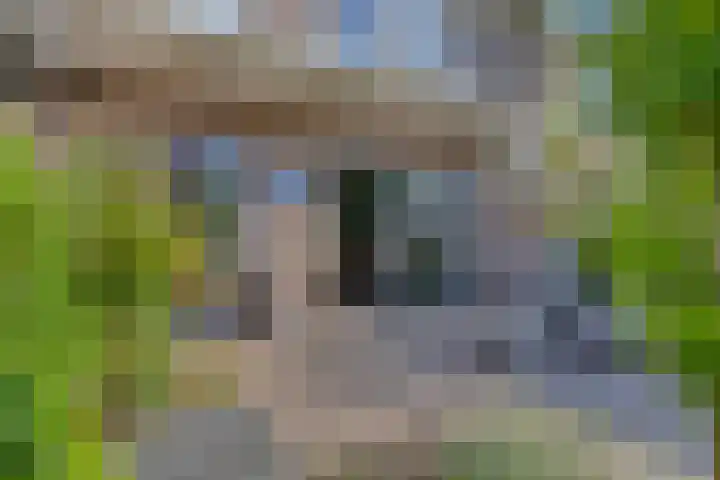Wilhelminasingel 24 Pijnacker thumbnail 30