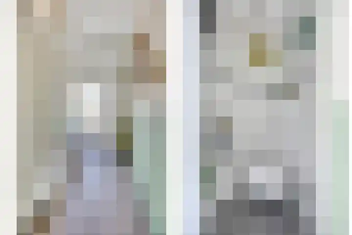 Wilhelminasingel 24 Pijnacker thumbnail 7