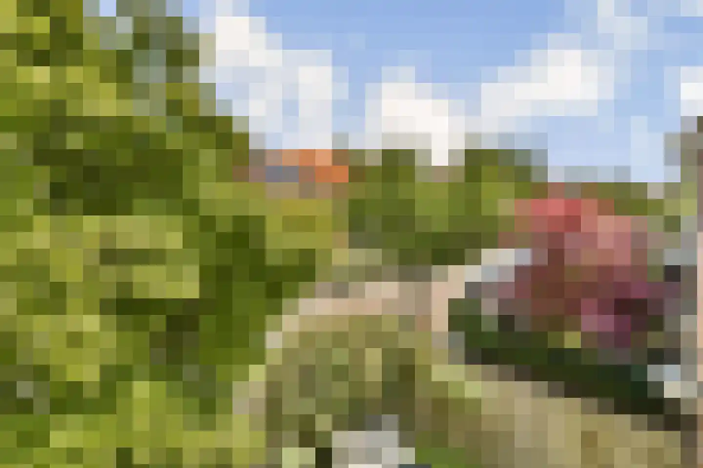 Wilhelminasingel 24 Vlaardingen thumbnail 16