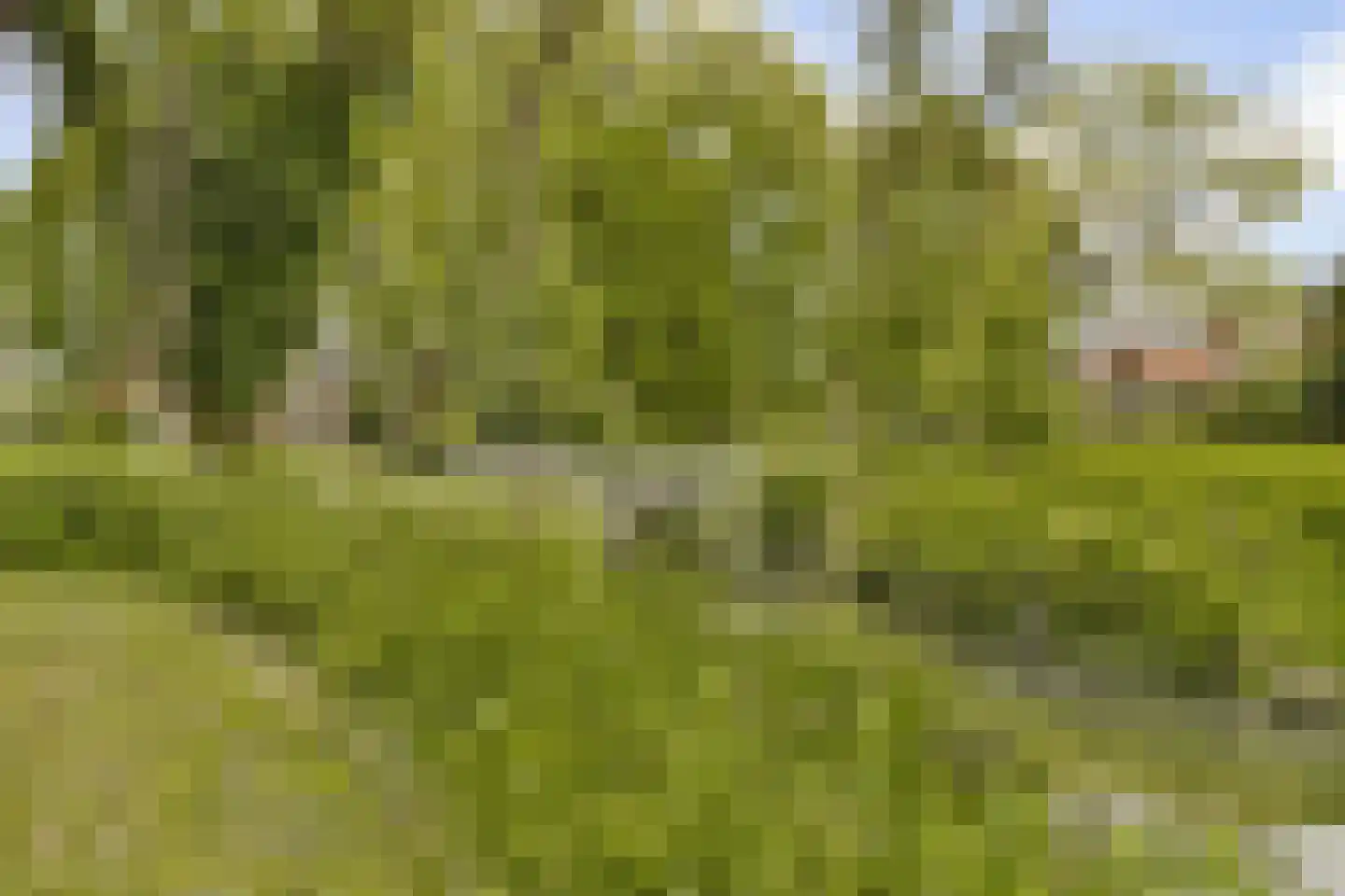 Wilhelminasingel 24 Vlaardingen thumbnail 30