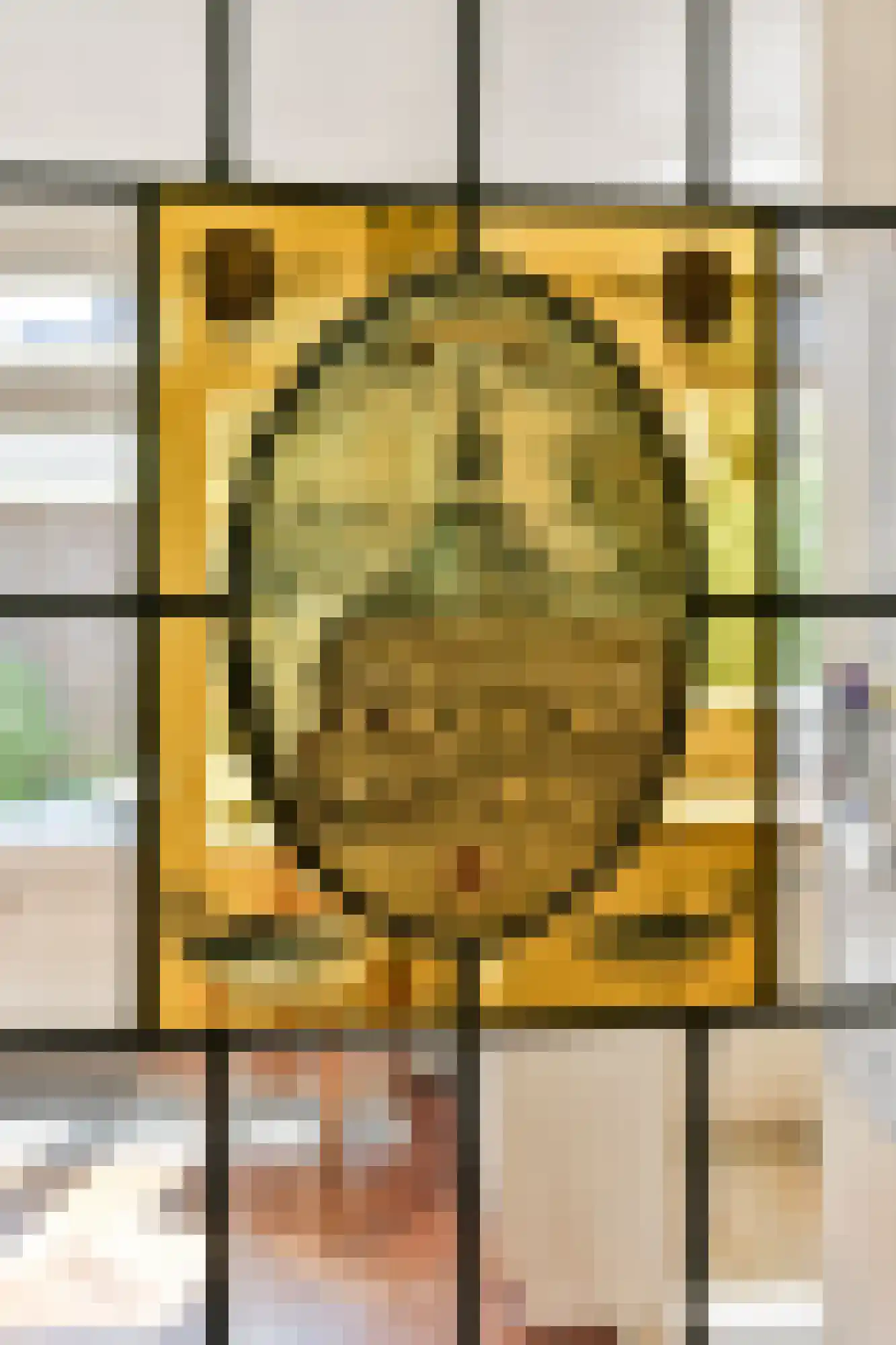 Wilhelminasingel 24 Vlaardingen thumbnail 9