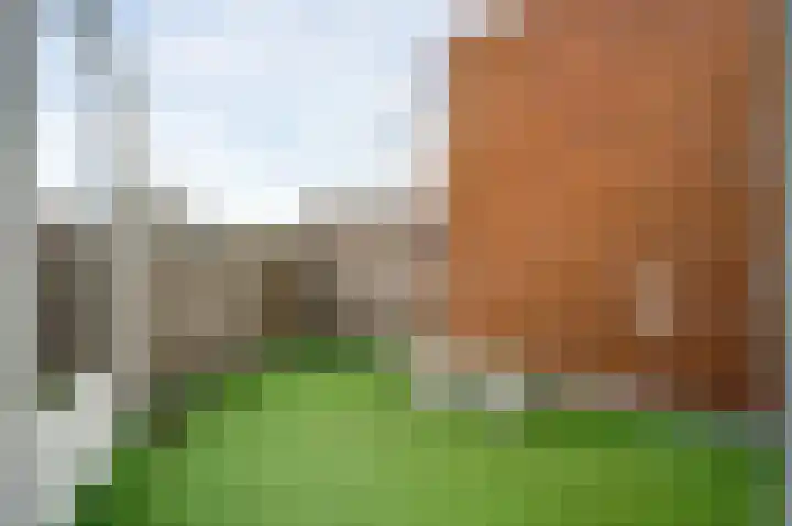 Wilhelminasingel 243 Weert thumbnail 26
