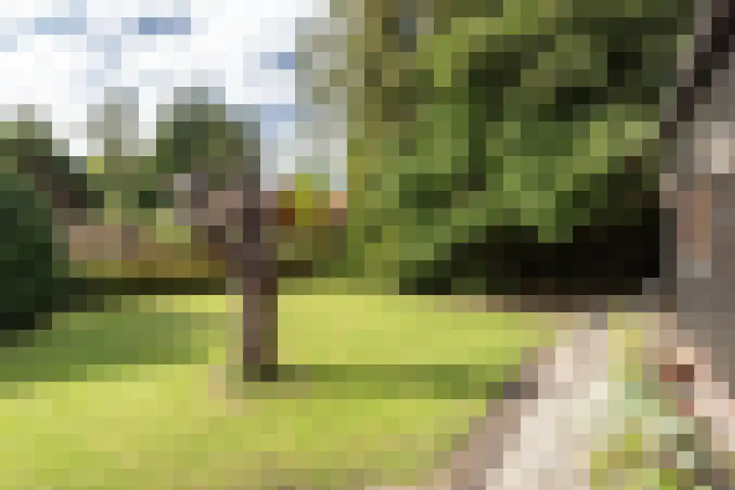 Wilhelminasingel 26 Winschoten thumbnail 61