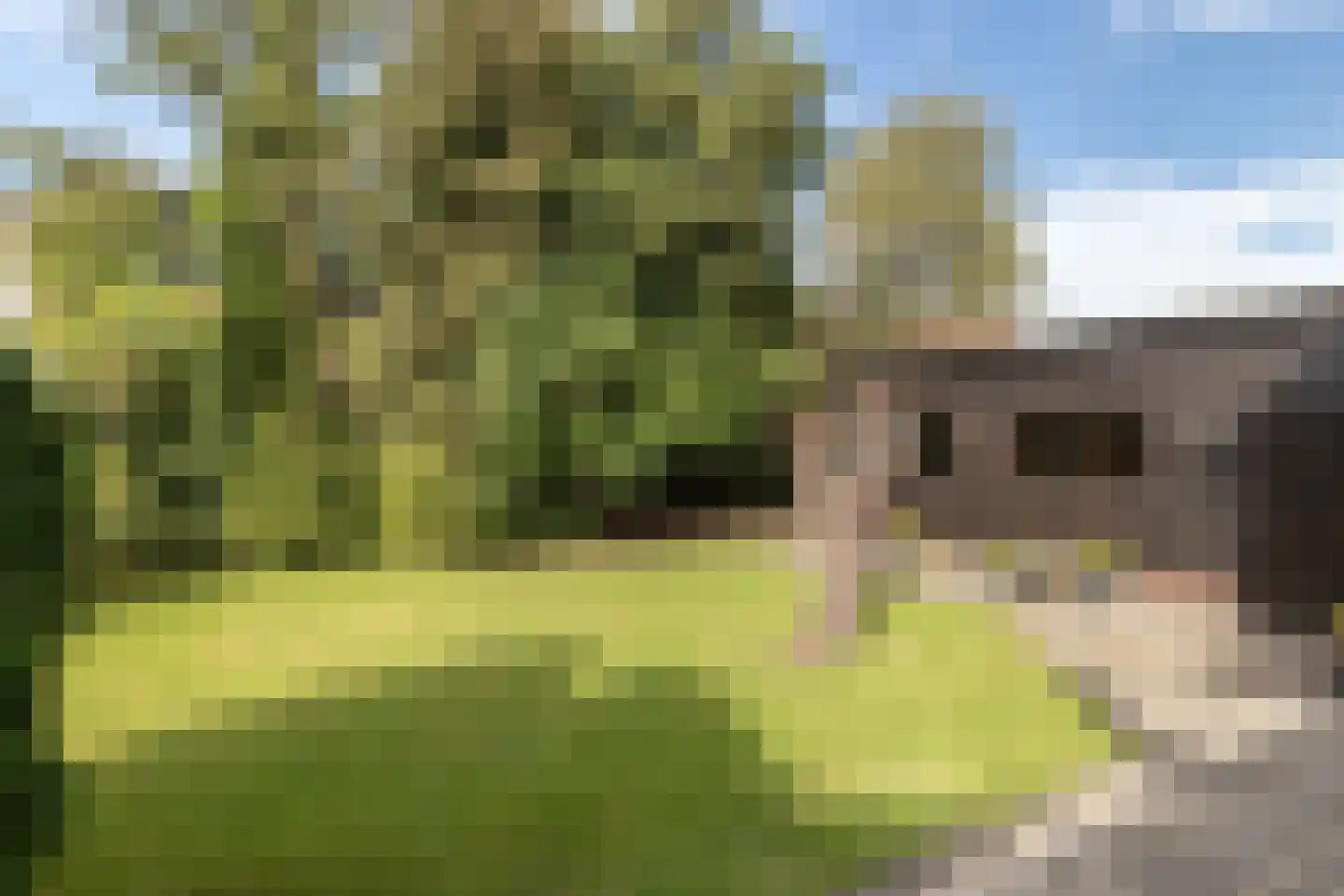 Wilhelminasingel 26 Winschoten thumbnail 62