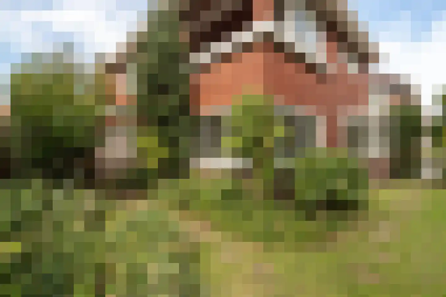 Wilhelminasingel 26 Winschoten thumbnail 66