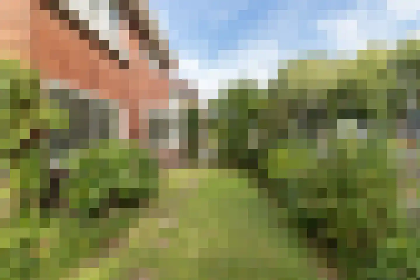 Wilhelminasingel 26 Winschoten thumbnail 67