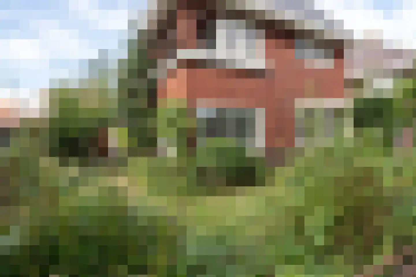 Wilhelminasingel 26 Winschoten thumbnail 68