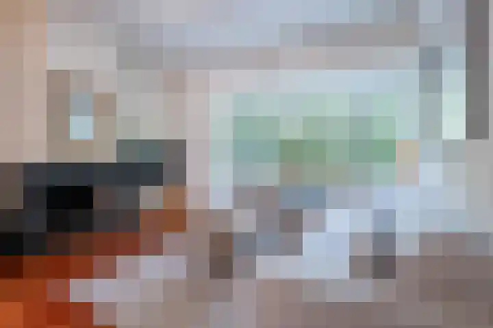 Wilhelminasingel 27 Breda thumbnail 14