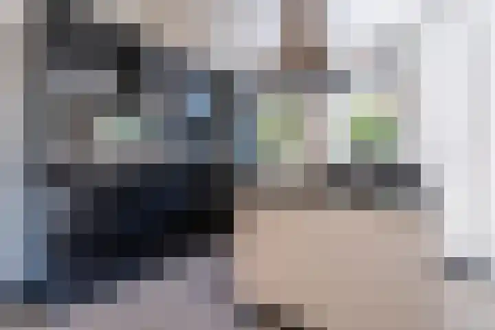 Wilhelminasingel 27 Breda thumbnail 21
