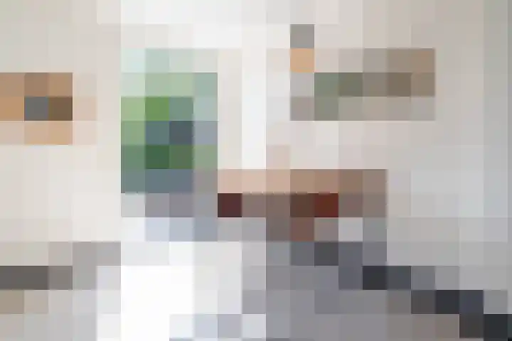 Wilhelminasingel 27 Breda thumbnail 22