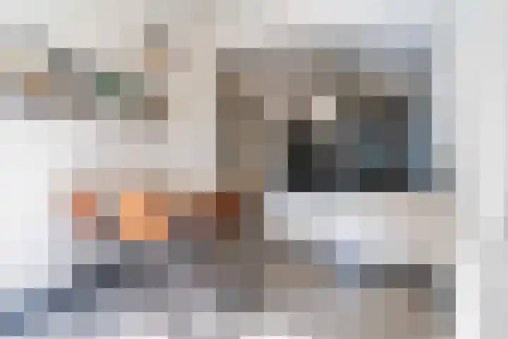 Wilhelminasingel 27 Breda thumbnail 23