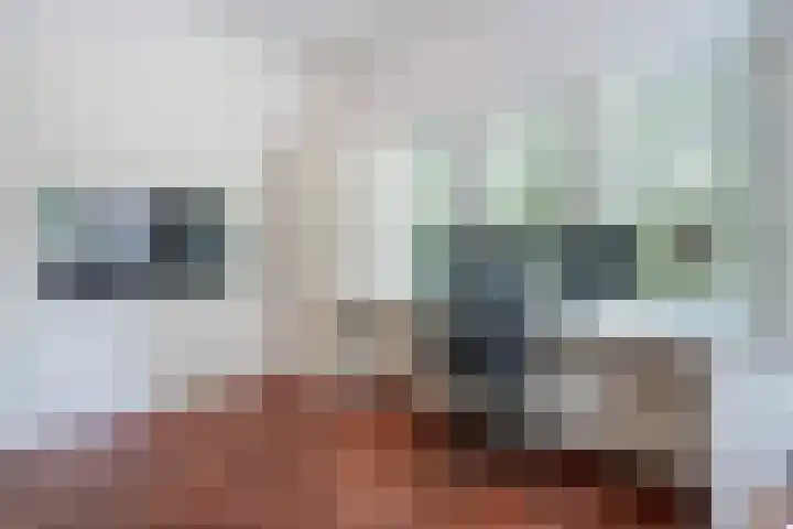 Wilhelminasingel 27 Breda thumbnail 26