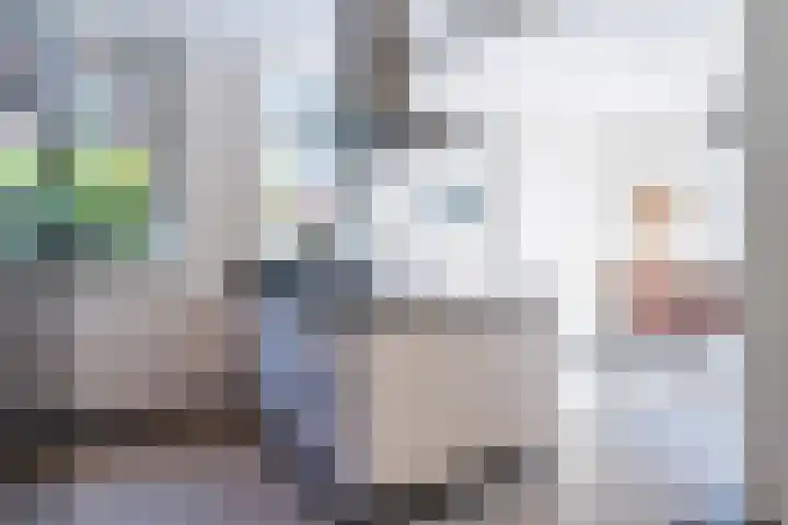Wilhelminasingel 27 Breda thumbnail 4