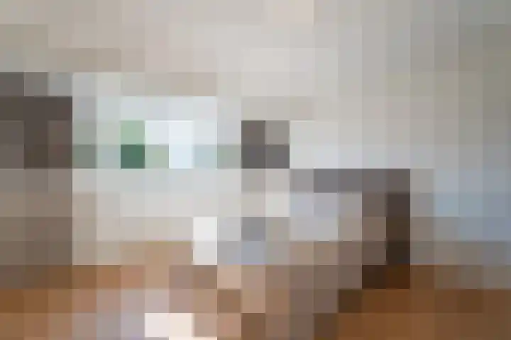 Wilhelminasingel 27 Breda thumbnail 45