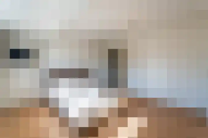 Wilhelminasingel 27 Breda thumbnail 46