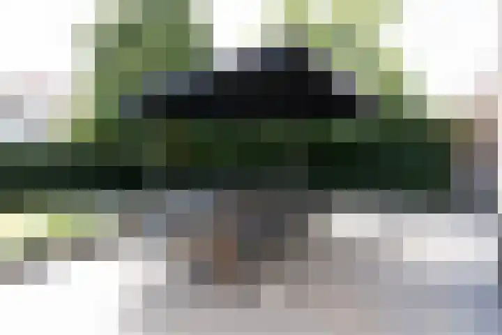 Wilhelminasingel 27 Breda thumbnail 57