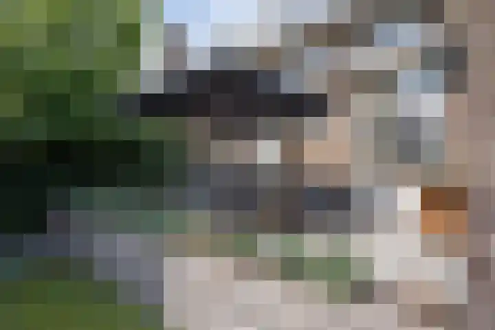 Wilhelminasingel 27 Breda thumbnail 59