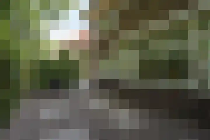 Wilhelminasingel 27 Breda thumbnail 62