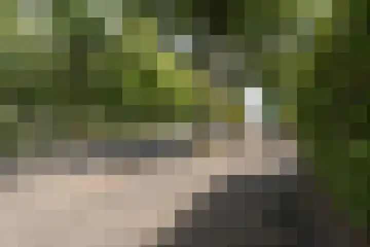 Wilhelminasingel 27 Breda thumbnail 63