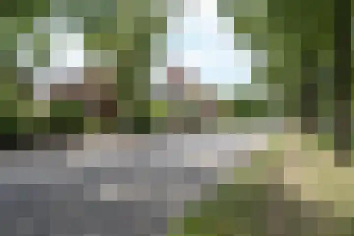 Wilhelminasingel 27 Breda thumbnail 64