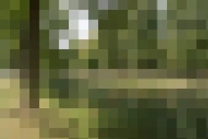 Wilhelminasingel 27 Breda thumbnail 65