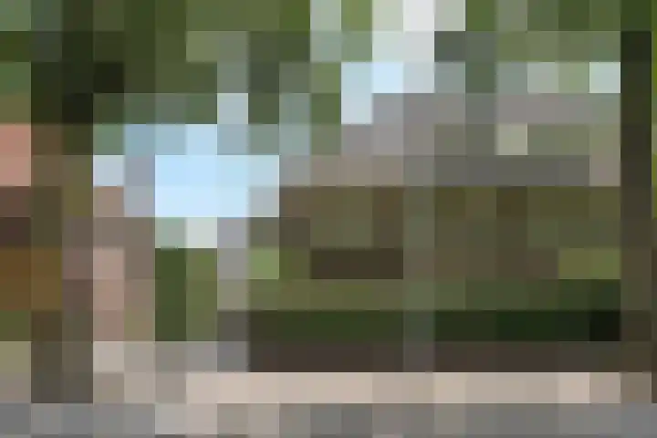 Wilhelminasingel 27 Breda thumbnail 7