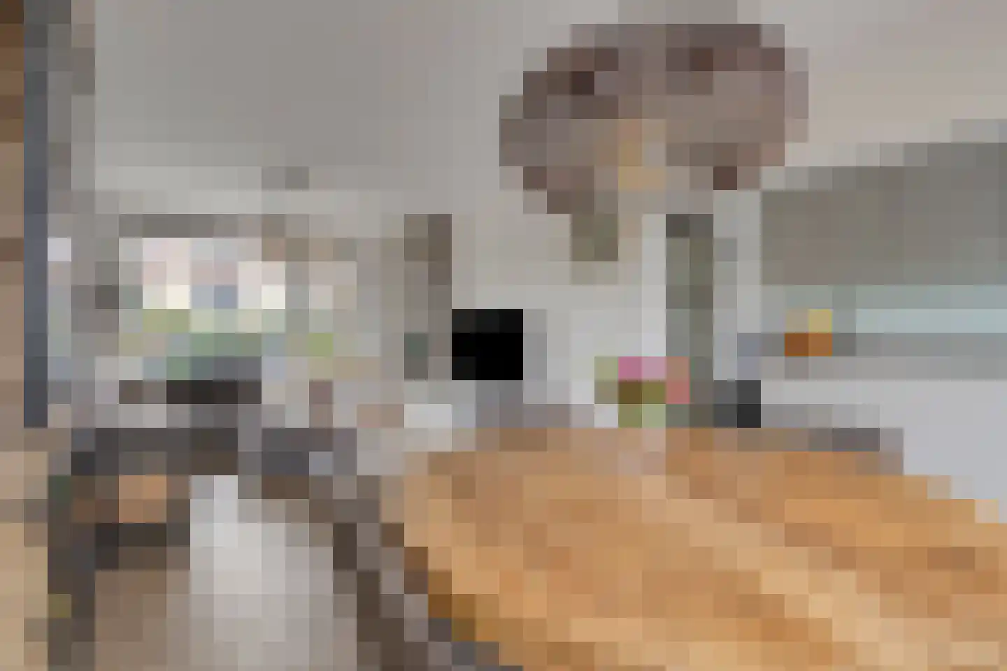 Wilhelminasingel 27 Pijnacker thumbnail 14