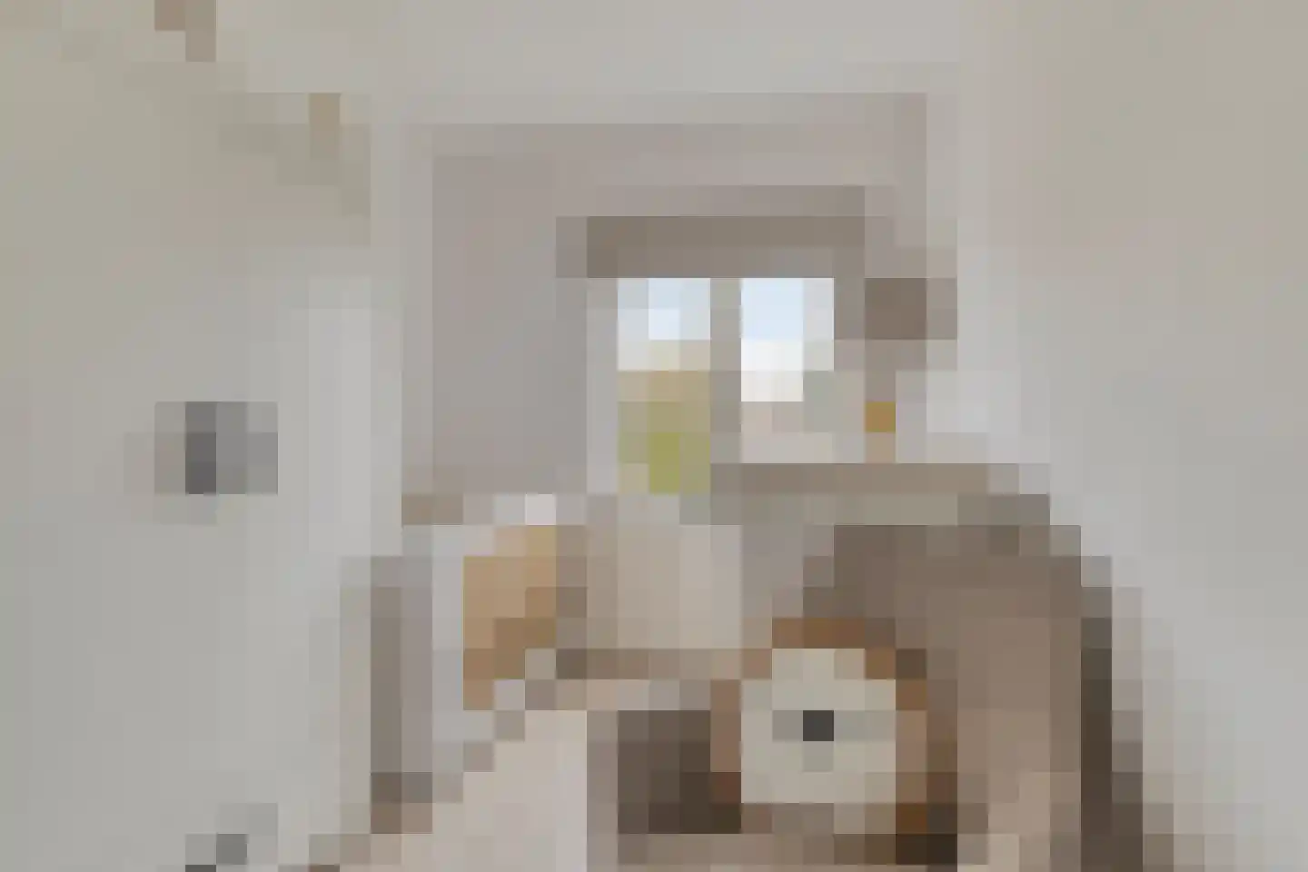 Wilhelminasingel 27 Pijnacker thumbnail 24