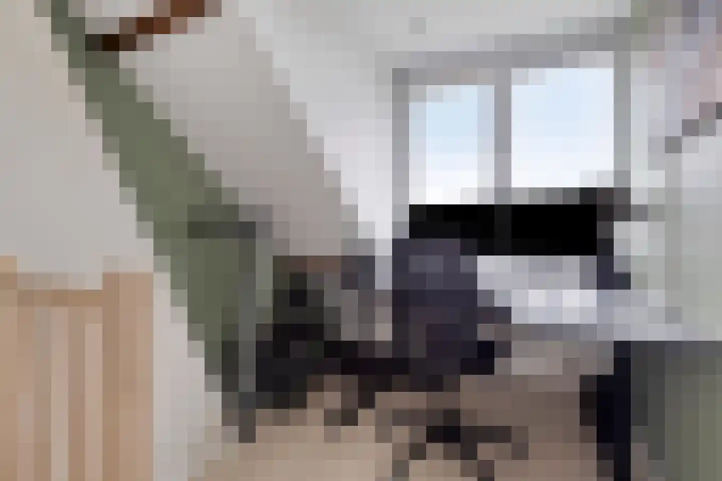 Wilhelminasingel 27 Pijnacker thumbnail 26