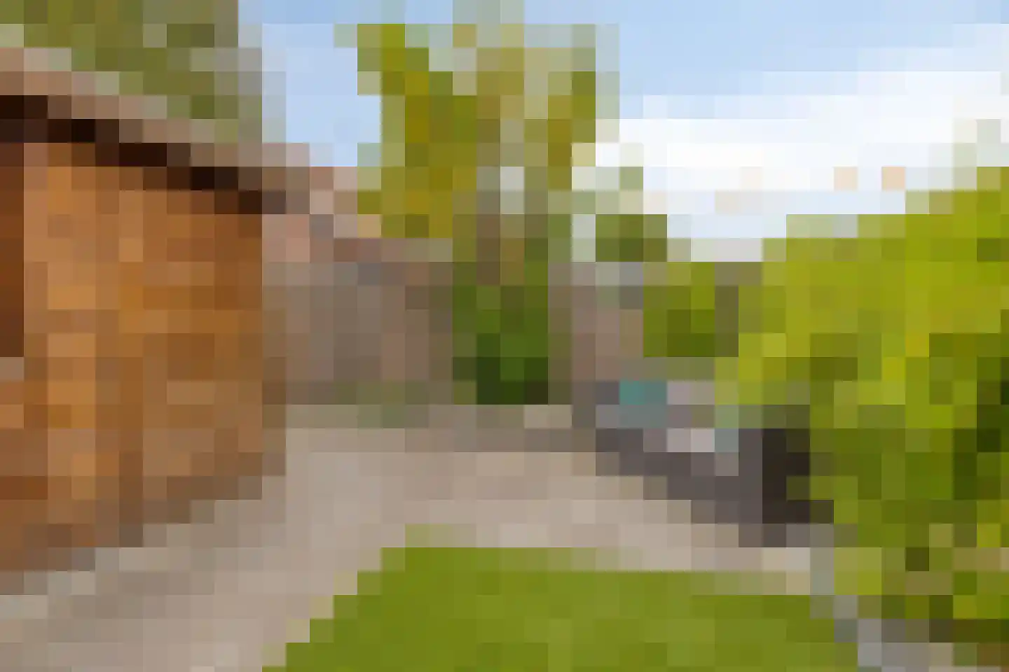 Wilhelminasingel 27 Pijnacker thumbnail 33