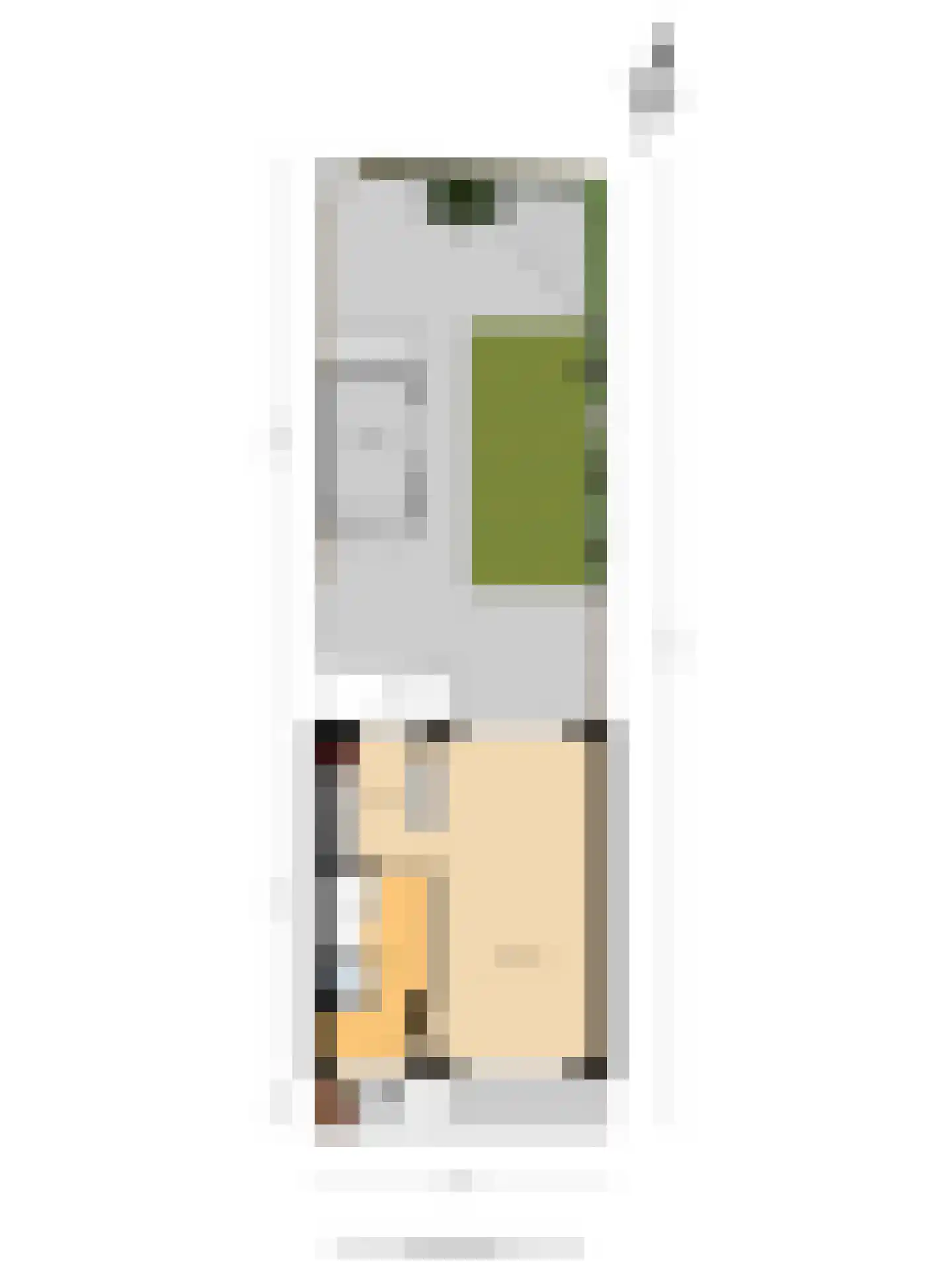 Wilhelminasingel 27 Pijnacker thumbnail 38