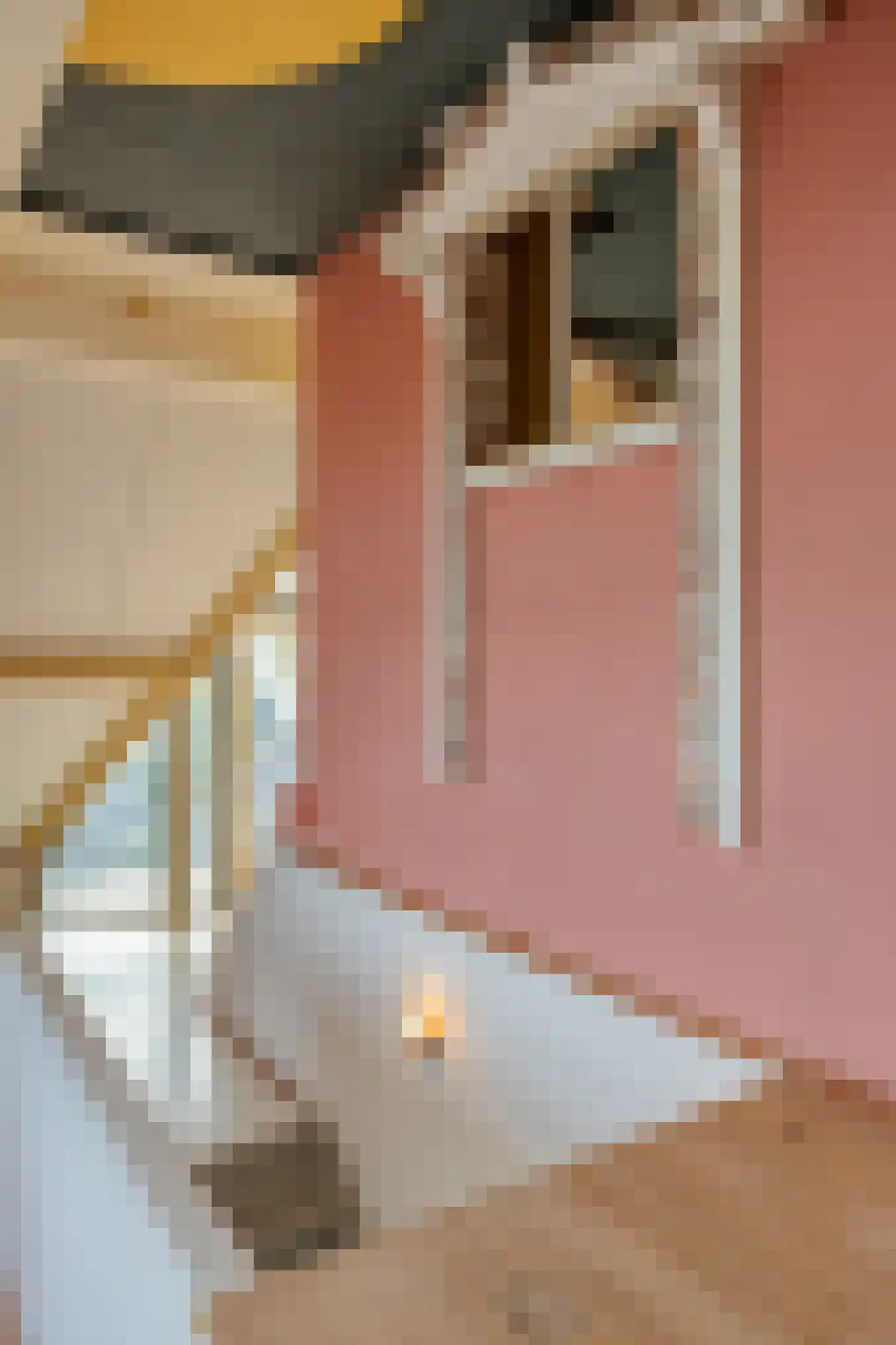 Wilhelminasingel 3 B 9 Roermond thumbnail 24