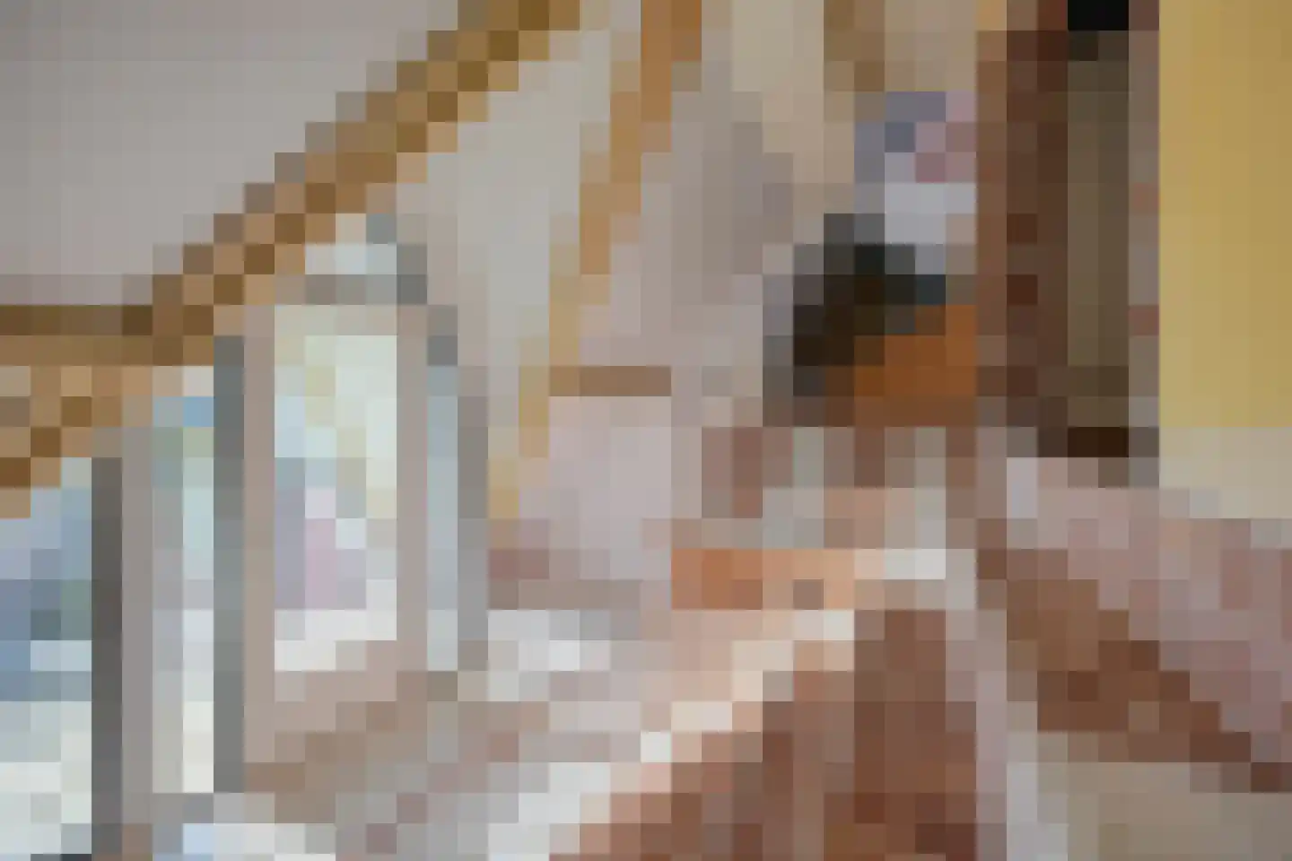 Wilhelminasingel 3 B 9 Roermond thumbnail 25