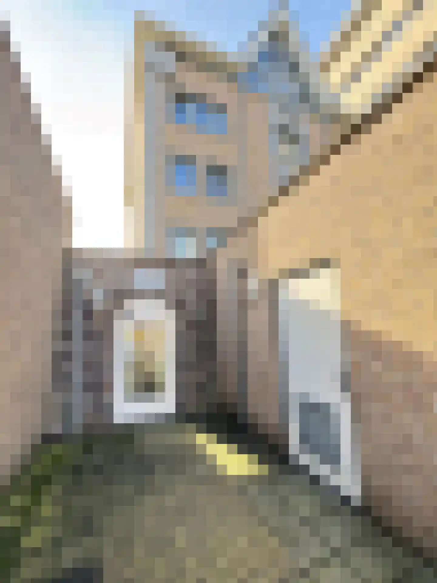 Wilhelminasingel 3 B 9 Roermond thumbnail 39
