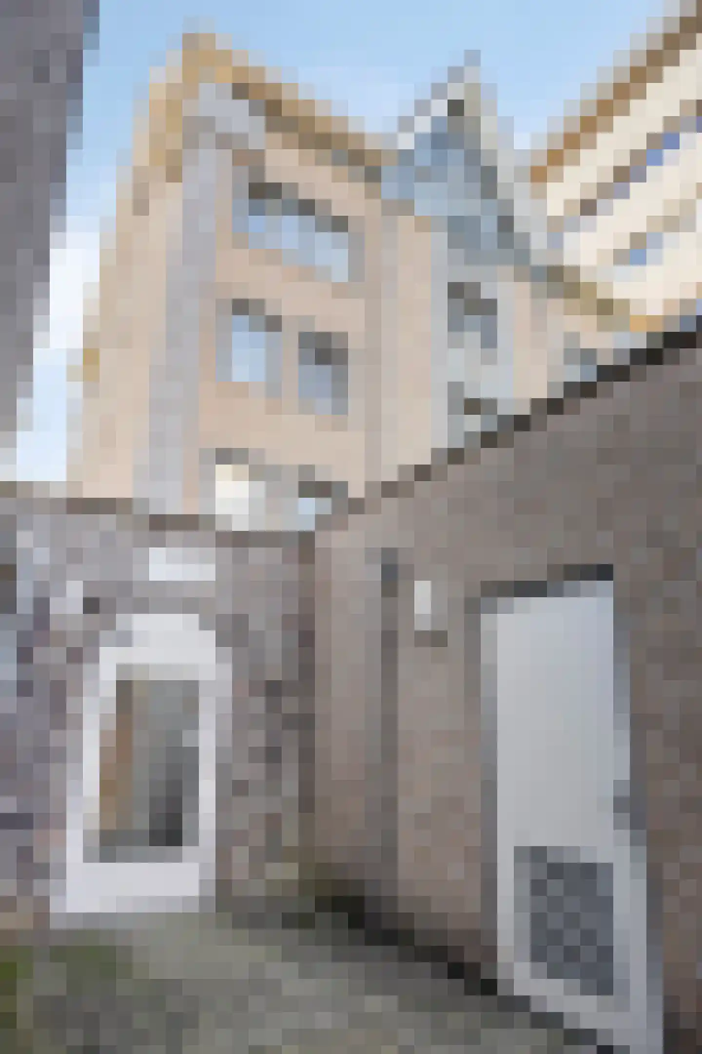 Wilhelminasingel 3 B 9 Roermond thumbnail 43