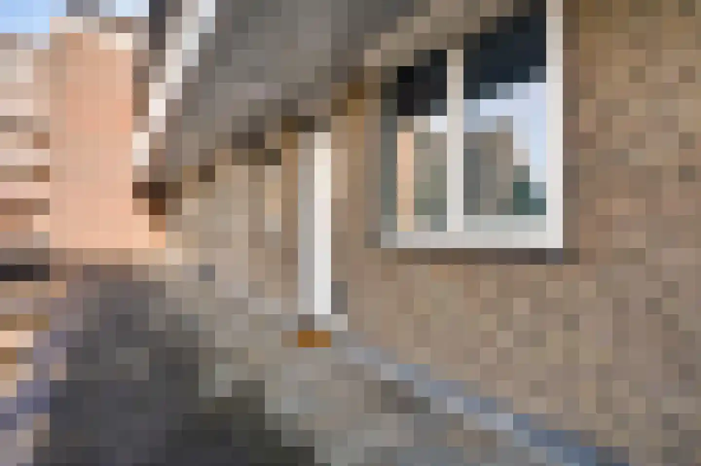 Wilhelminasingel 3 Weert thumbnail 10